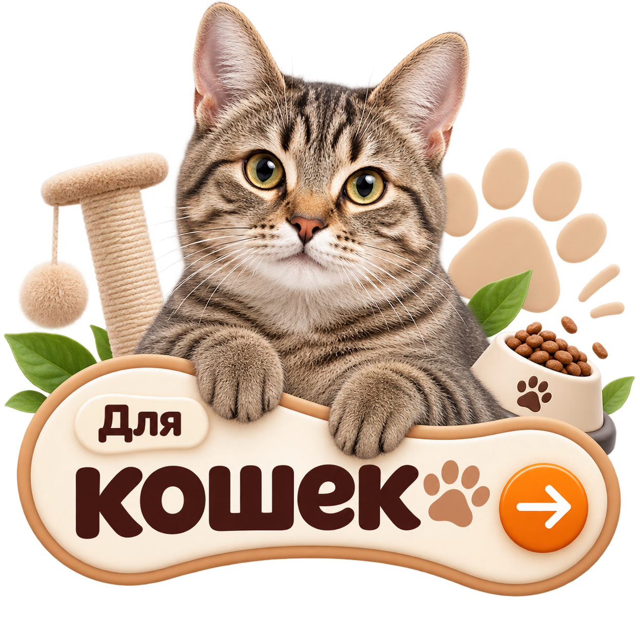 напол