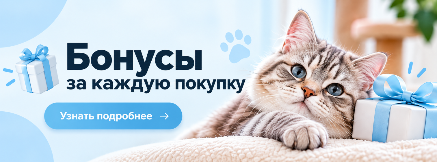 Нижний банер