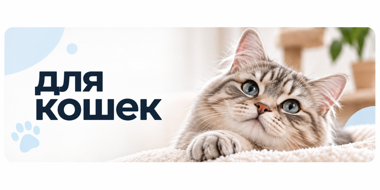 Для кошек