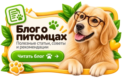 уу