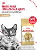 фото 13