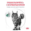 фото 8