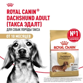Сухой корм Royal Canin Dachshund Adult для собак породы такса, 1,5 кг