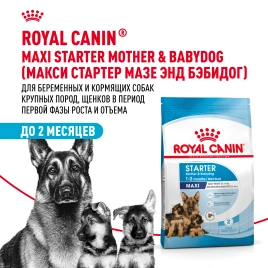 Сухой корм Royal Canin Maxi Starter Mother &amp; Babydog для собак, 4 кг