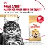 Сухой корм Royal Canin Maine Coon Adult PRO для кошек породы мейн-кун, 13 кг