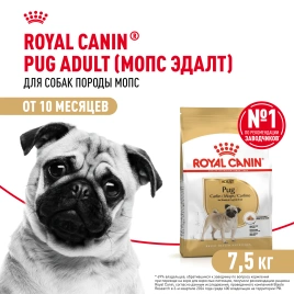 Сухой корм Royal Canin Pug Adult для взрослых собак, 7.5 кг