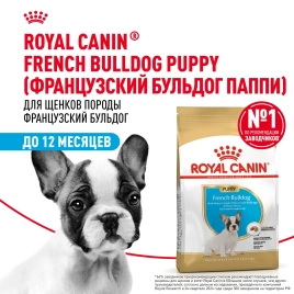 Сухой корм Royal Canin French Bulldog Puppy для щенков, 3 кг