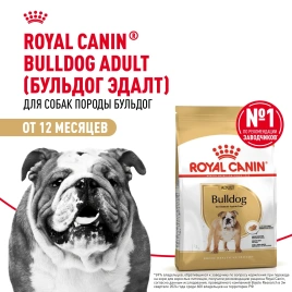 Сухой корм Royal Canin Bulldog Adult для собак породы английский бульдог, 3 кг