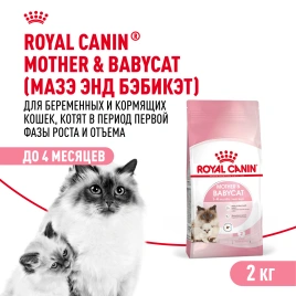 Сухой Корм Royal Canin MOTHER AND BABYCAT (МАЗЕР ЭНД БЕБИКЭТ)Питание для котят в возрасте с 1 до 4 месяцев, а также беременных и лактирующих кошек