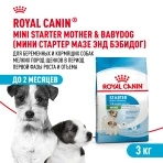 Сухой корм Royal Canin Mini Starter Mother &amp;amp; Babydog для щенков и кормящих сук, 3 кг