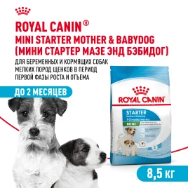 Сухой корм Royal Canin Mini Starter Mother &  Babydog для щенков и кормящих сук, 8,5 кг