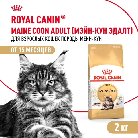 Сухой Корм Royal Canin MAINE COON (МЕЙН-КУН)Специальное питание для кошек породы мейн-кун, а также для кошек крупных размеров: сибирской,норвежской лесной и других, в возрасте от 15 месяцев и старше фото 1