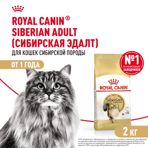 Сухой Корм Royal Canin SIBERIAN (САЙБЕРИАН)Специальное питание для кошек сибирской породы, в возрасте от 1 года и старше, 2 кг фото 1