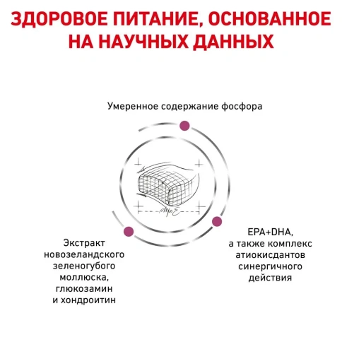 Сухой диетический корм Royal Canin Early Renal для взрослых кошек при ранней стадии почечной недостаточности, 400 г фото 4