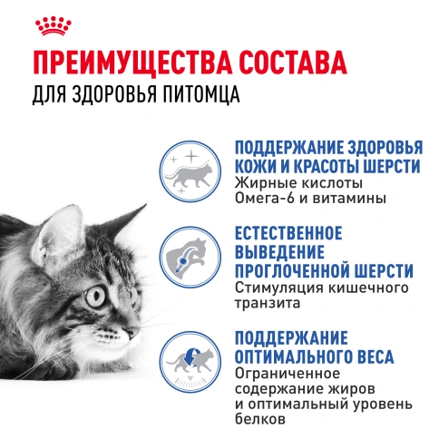 Сухой Корм Royal Canin INDOOR LONG HAIR (ИНДОР ЛОНГ ХЭЙР)Питание для длинношерстных и полудлинношерстных кошек, живущих в помещении, в возрасте от 1 года до 7 лет, способствует поддержанию красоты и блеска шерсти, выведению волосяных комочков, 2 кг фото 3