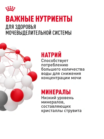 Сухой Корм Royal Canin URINARY CARE (УРИНАРИ КЭА)Питание для кошек, обеспечивающее профилактику образования камней в мочевыводящих путях и снижение риска мочекаменной болезни в 2 раза через 10 дней кормления, 2 кг фото 21