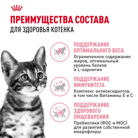 Сухой Корм Royal Canin KITTEN STERILISED (КИТТЕН СТЕРИЛАЙЗД)Питание для стерилизованных котят с момента операции до 12 месяцев, 3.5 кг фото 3
