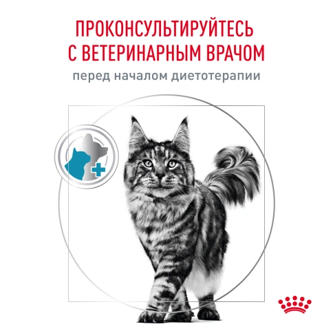 Сухой Корм Royal Canin  SKIN & COAT ДИЕТА ДЛЯ КОШЕК ДЛЯ ПОДДЕРЖАНИЯ ЗДОРОВЬЯ КОЖИ И ШЕРСТИ, 1.5 кг фото 8