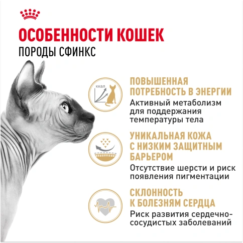 Сухой Корм Royal Canin SPHYNX (СФИНКС)Специальное питание для кошек породы сфинкс в возрасте от 1 года и старше, 2 кг фото 2