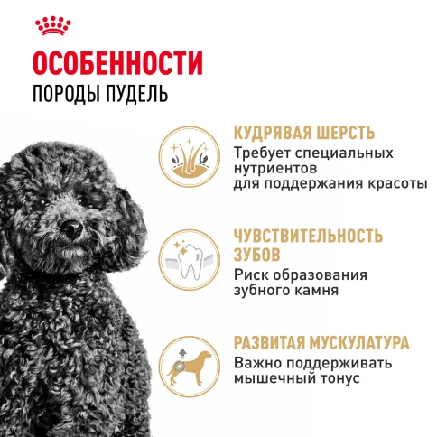 Сухой корм Royal Canin Poodle Adult для взрослых собак, 1.5 кг фото 3