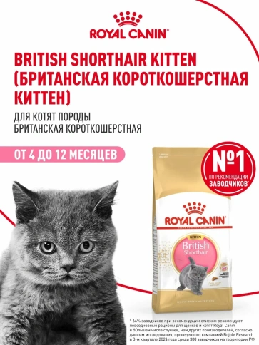 Сухой корм Royal Canin British Shorthair Kitten для котят породы британская короткошерстная, 400 г фото 12
