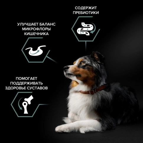 Сухой корм Purina Pro Plan Sensitive Digestion для взрослых собак средних пород, ягнёнок и рис, 1.5 кг фото 2