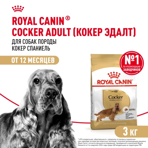 Сухой корм Royal Canin Cocker Adult для собак породы кокер-спаниель, 3 кг фото 1