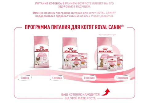 Сухой Корм Royal Canin KITTEN STERILISED (КИТТЕН СТЕРИЛАЙЗД)Питание для стерилизованных котят с момента операции до 12 месяцев, 3.5 кг фото 17