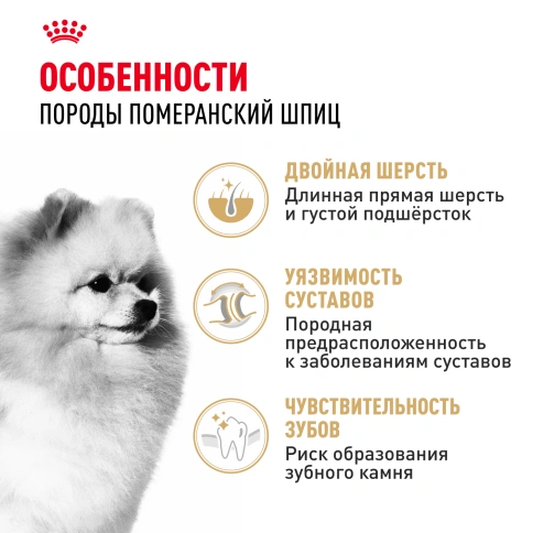 ухой корм Royal Canin Pomeranian Adult для собак породы померанский шпиц, 1.5 кг фото 2
