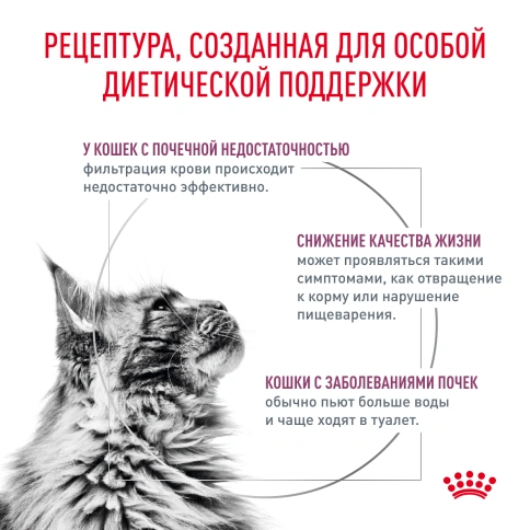 Влажный корм Royal Canin Renal with Beef в соусе для кошек при заболеваниях почек, с говядиной, пауч, 85 г фото 3