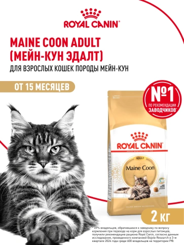 Сухой Корм Royal Canin MAINE COON (МЕЙН-КУН)Специальное питание для кошек породы мейн-кун, а также для кошек крупных размеров: сибирской,норвежской лесной и других, в возрасте от 15 месяцев и старше фото 13