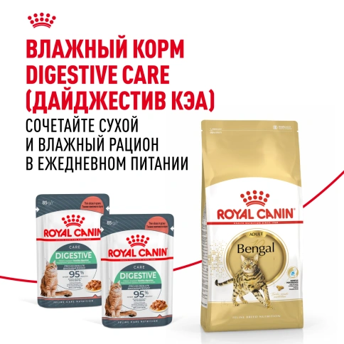 Сухой Корм Royal Canin BENGAL (БЕНГАЛ)Специальное питание для кошек бенгальской породы, в возрасте от 1 года и старше, 2 кг фото 8