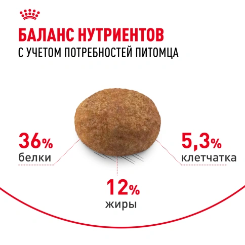 Сухой Корм Royal Canin STERILISED 7+ (СТЕРИЛАЙЗД 7+)Питание, способствующее поддержанию оптимального веса, для стерилизованных кошек и кастрированных котов в возрасте старше 7 лет фото 4