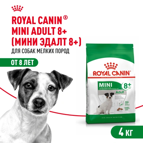 Сухой корм Royal Canin Mini Adult 8+ для пожилых собак, 4 кг фото 1