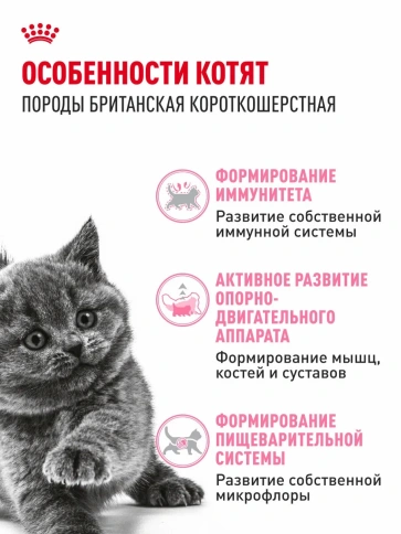 Сухой корм Royal Canin British Shorthair Kitten для котят породы британская короткошерстная, 400 г фото 2
