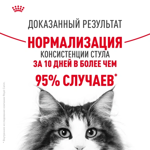 Сухой Корм Royal Canin DIGESTIVE CARE (ДАЙДЖЕСТИВ КЭА)Питание для кошек в возрасте от 1 года и старше, обеспечивает здоровье кожи, красоту и блеск шерсти после 21 дня кормления, 2 кг фото 11