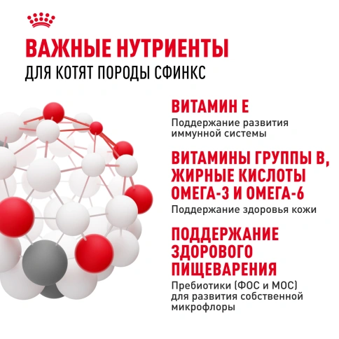 Сухой Корм Royal Canin KITTEN SPHYNX (КИТТЕН СФИНКС) Birth & GrowthСпециальное питание для кошек породы сфинкс в возрасте от 4  до 12 месяцев, 2 кг фото 5