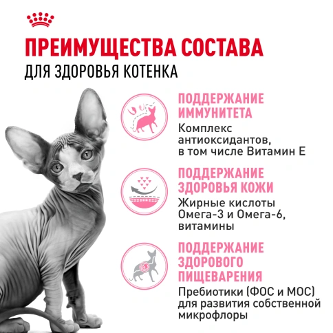 Сухой Корм Royal Canin KITTEN SPHYNX (КИТТЕН СФИНКС) Birth & GrowthСпециальное питание для кошек породы сфинкс в возрасте от 4  до 12 месяцев, 2 кг фото 3