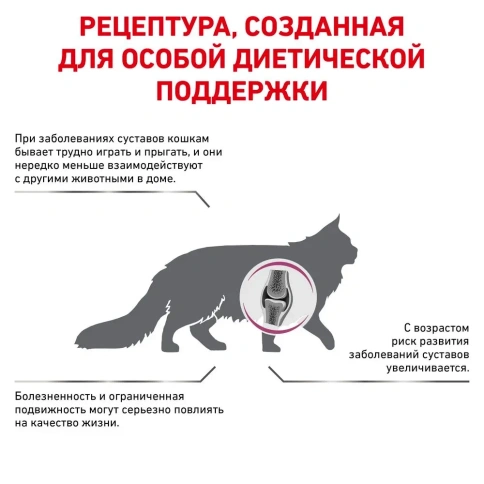Диетический сухой корм Royal Canin Mobility для кошек при заболеваниях опорно-двигательного аппарата, 2 кг фото 4