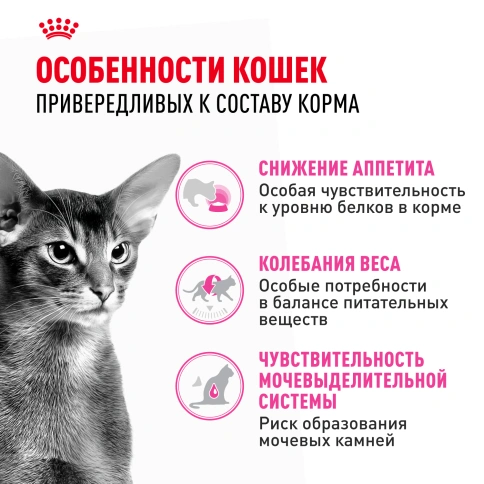 Сухой корм Royal Canin Protein Exigent для кошек, фото 2