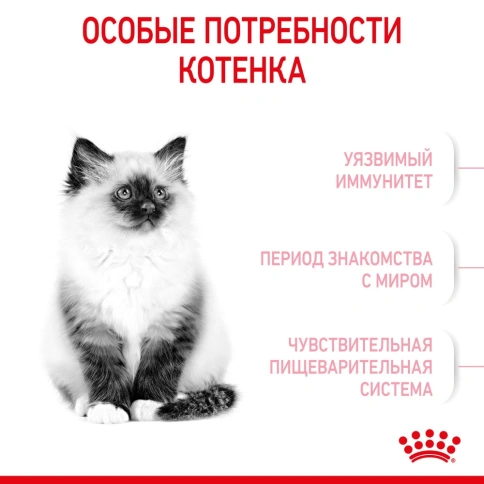Сухой корм Royal Canin Kitten для котят от 4 до 12 месяцев, с птицей, 300 г фото 2