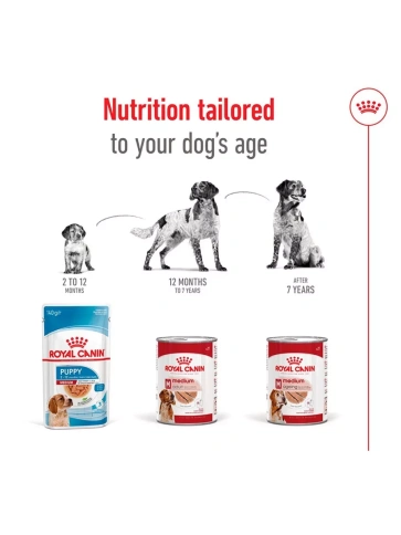 Влажный корм Royal Canin Medium Ageing 10+ для пожилых собак средних пород, паштет, банка, 410 г фото 5