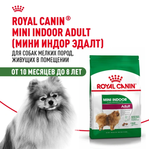 Сухой корм Royal Canin Mini Indoor Adult для собак, 10 кг фото 14