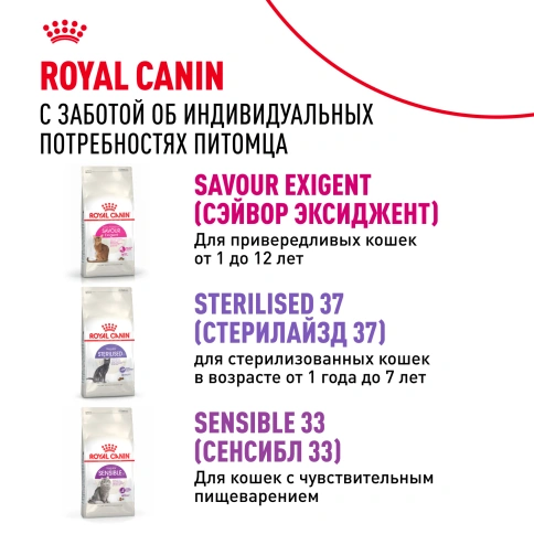 Сухой Корм Royal Canin PROTEIN EXIGENT (ПРОТЕИН ЭКСИДЖЕНТ)Питание для кошек в возрасте от 1 года до 12 лет, особенно привередливых к составу продукта фото 10