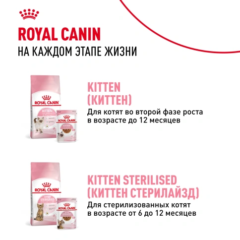 Сухой Корм Royal Canin MOTHER AND BABYCAT (МАЗЕР ЭНД БЕБИКЭТ)Питание для котят в возрасте с 1 до 4 месяцев, а также беременных и лактирующих кошек фото 9