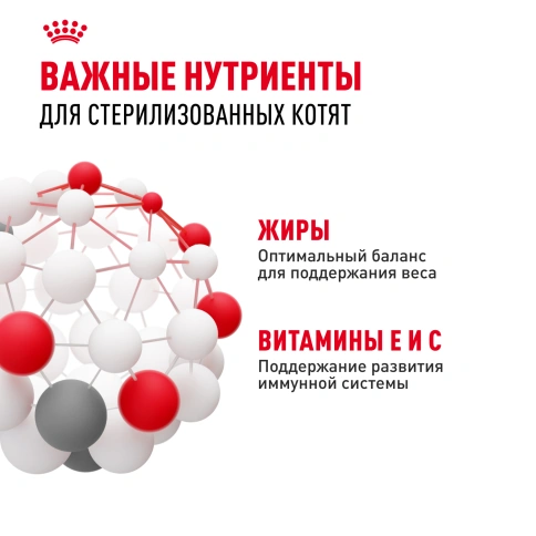 Влажный корм Royal Canin Kitten Sterilised в желе для стерилизованных котят до 12 месяцев, пауч, 85 г фото 5