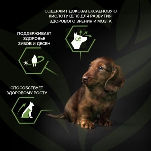 Сухой корм Purina Pro Plan Small & Mini Puppy Healthy Start для щенков мелких и карликовых пород, курица и рис, 700 г фото 7