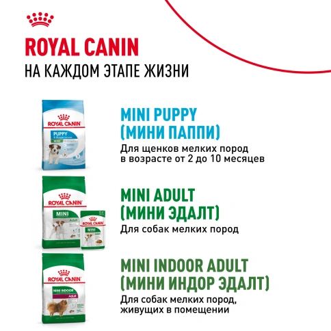 Сухой корм Royal Canin Mini Starter Mother & Babydog для щенков и кормящих сук, 3 кг фото 10