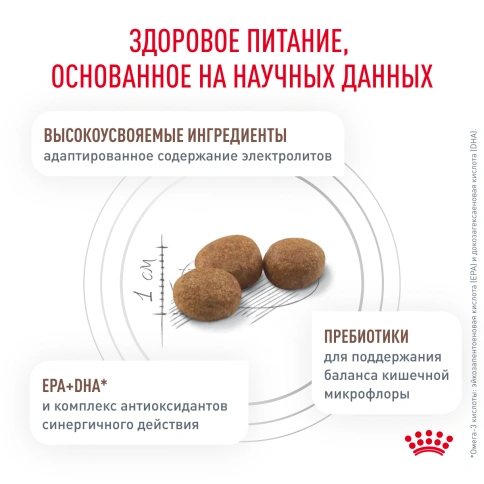 Сухой Корм Royal Canin  GASTROINTESTINAL HAIRBALL ДИЕТА ДЛЯ КОШЕК ДЛЯ ПРЕДОТВРАЩЕНИЯ ОБРАЗОВАНИЯ ВОЛОСЯНЫХ КОМОЧКОВ, 2 кг фото 4