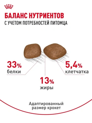 Сухой корм Royal Canin Urinary Care для поддержания здоровья мочевыделительной системы кошек, 10 кг фото 5